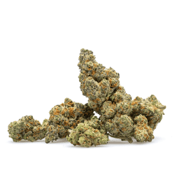 THCa Flower Mendo Breath