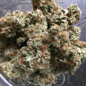 Sour Diesel Marijuana Europe
